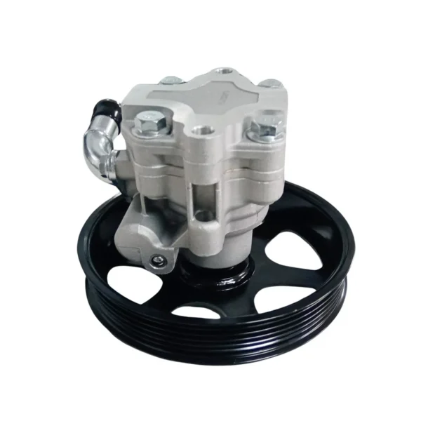 Power Steering Pump – Holden Commodore